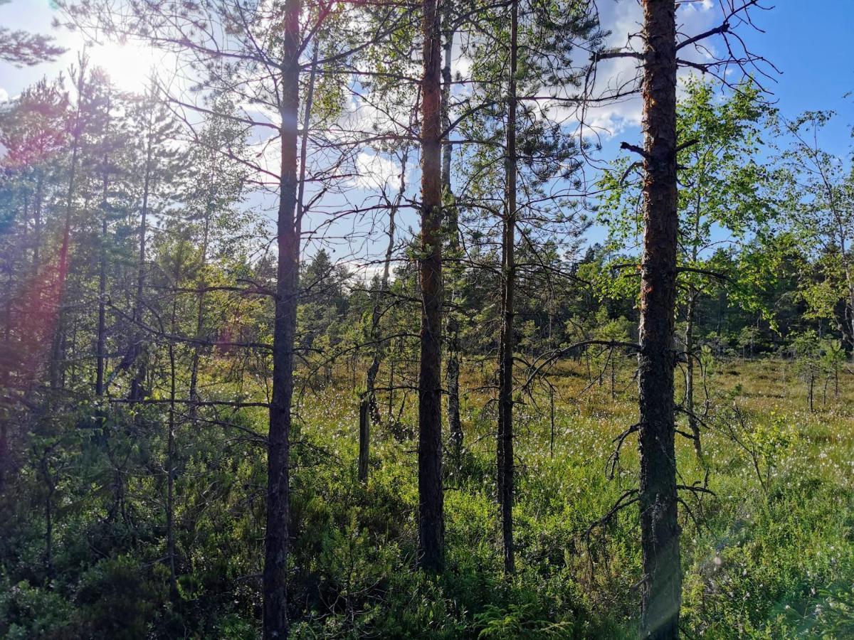 Stuga Solbacken Naera Radasjoen Villa Exterior foto