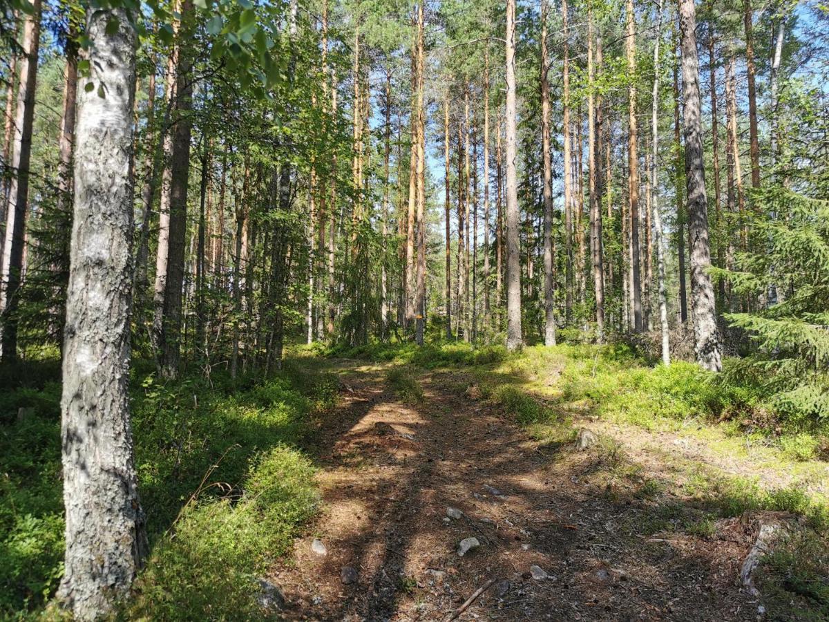 Stuga Solbacken Naera Radasjoen Villa Exterior foto